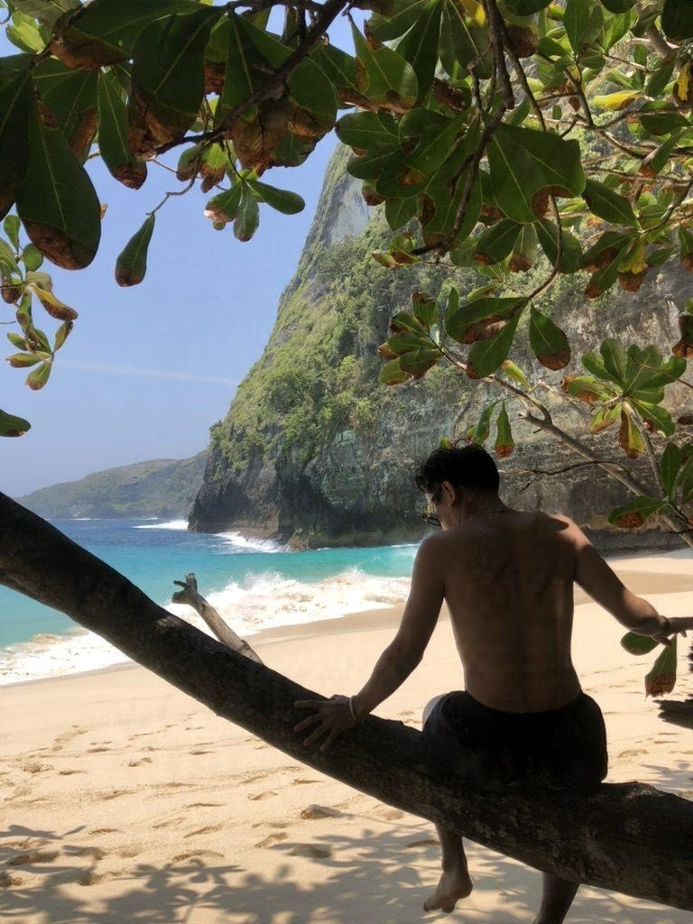 Mr. Bali sitting on a palm branch above a white sand beach