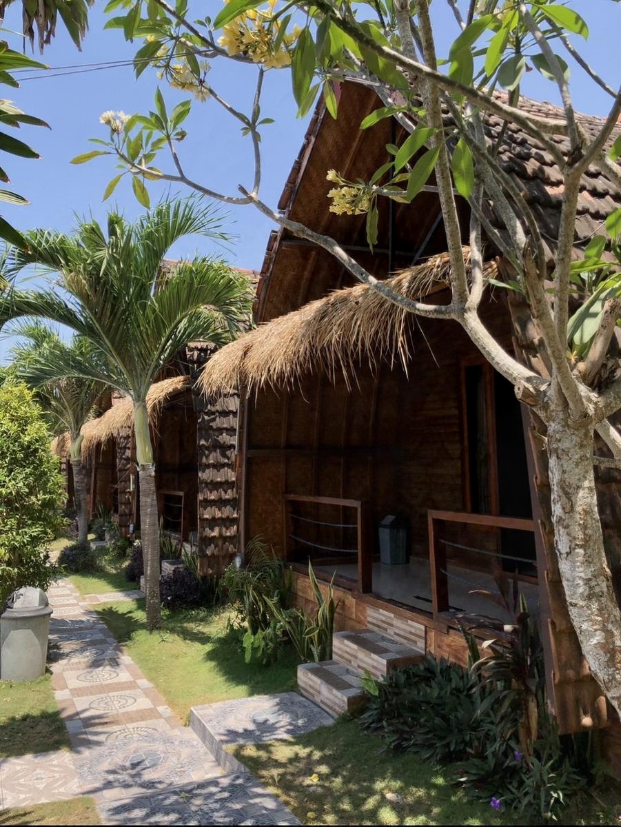 A thatched wooden bungalow among palms