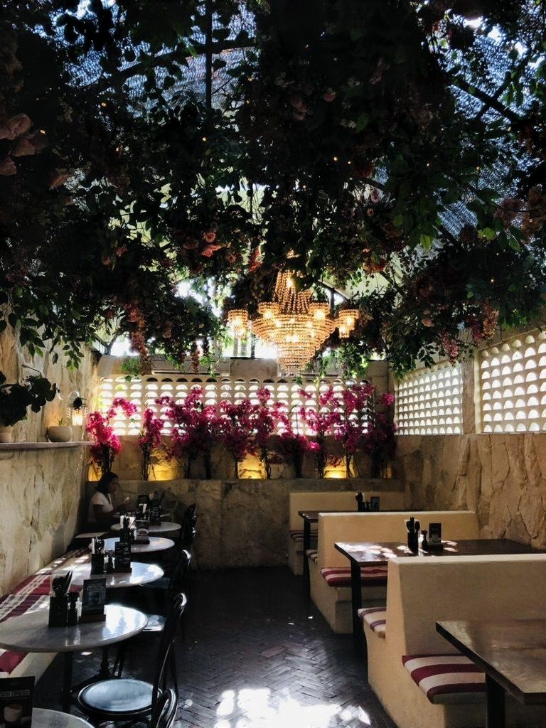A restaurant room under hanging greenery