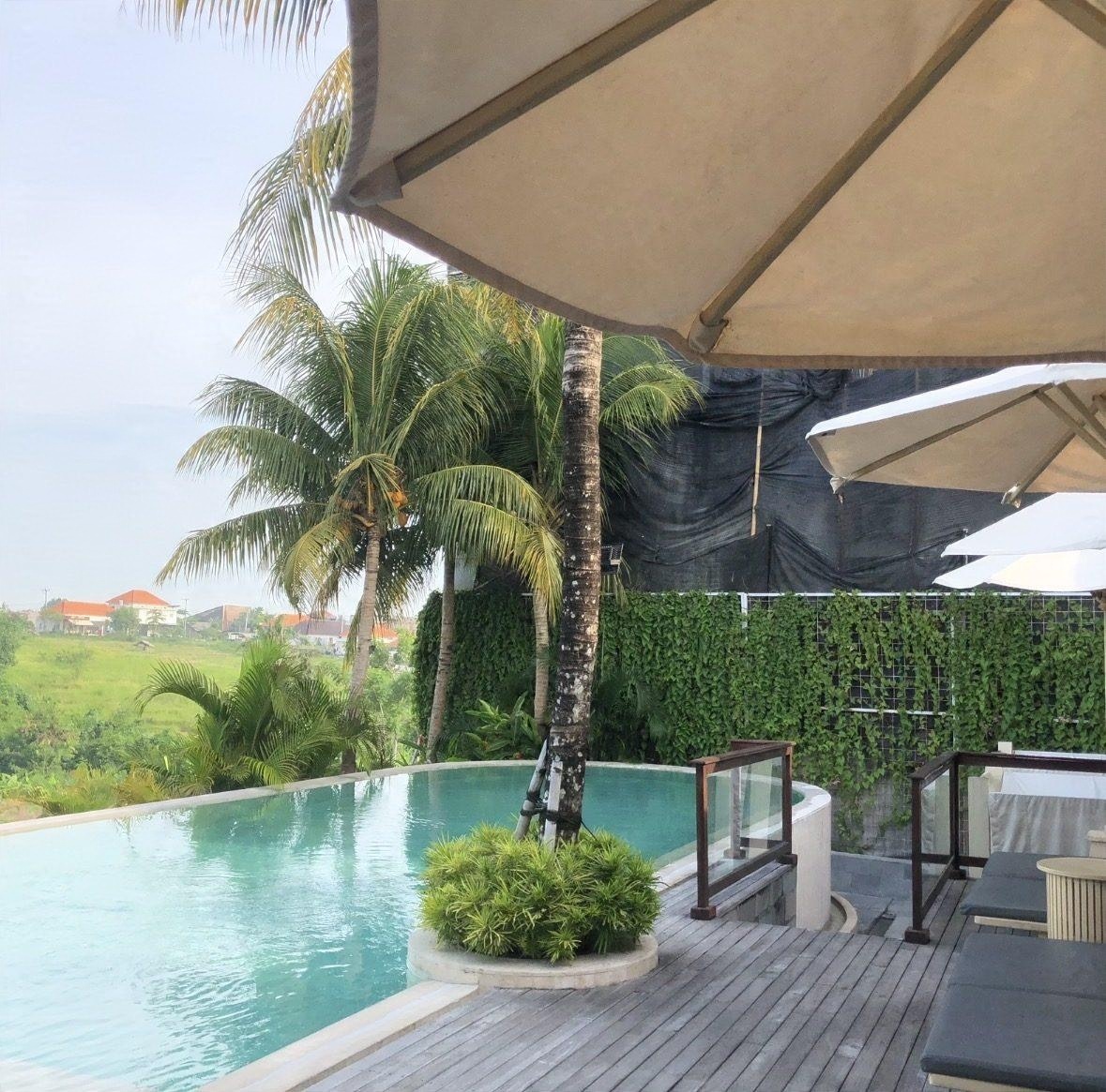 An infinity pool facing palms and rice fields