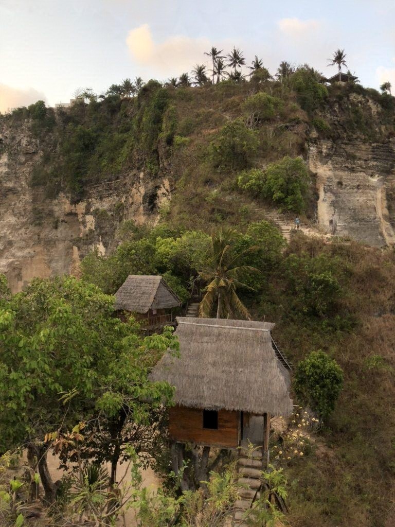 A wooden tree house on a green clifftop